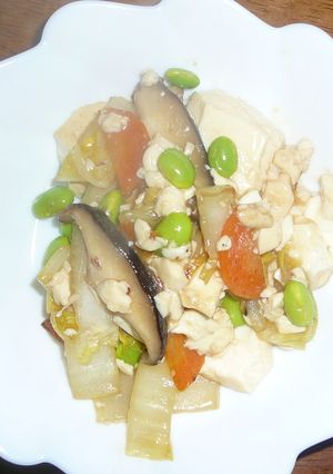 豆腐の中華炒め-レシピのメイン写真