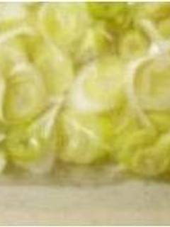 香味野菜ストック ♪長ネギ♪-レシピのメイン写真