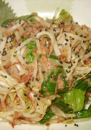 酒の肴に！もやしとレタスのコンビーフ炒め-レシピのメイン写真