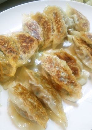 うちの白菜餃子-レシピのメイン写真