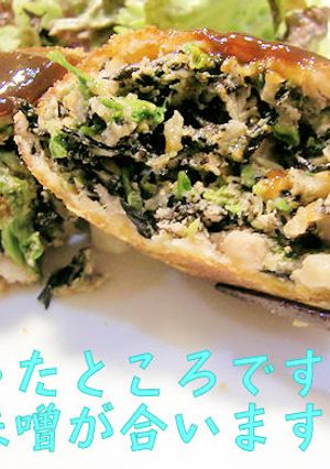 菜花とヒジキ入りのメンチカツ♪練味噌添え-レシピのメイン写真