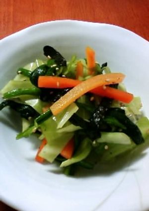 ほうれんそう・キャベツ・にんじんの磯和え-レシピのメイン写真