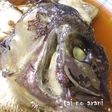安くて美味しい鯛のアラ煮☆圧力鍋で