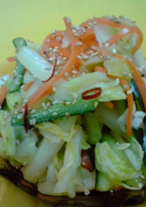 ☆お手軽！白菜の甘酢サラダ☆-レシピのメイン写真
