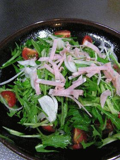はりはり。水菜と新玉ねぎのサラダ-レシピのメイン写真