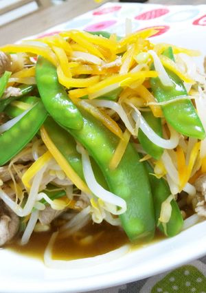 もやしと豚肉のサラダ風-レシピのメイン写真
