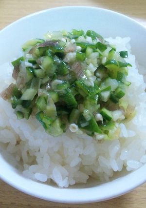 ♪夏でもご飯がご飯がすすむ君～♪-レシピのメイン写真