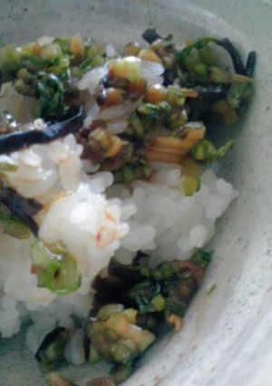 蕪の葉っぱのご飯のおとも♪-レシピのメイン写真
