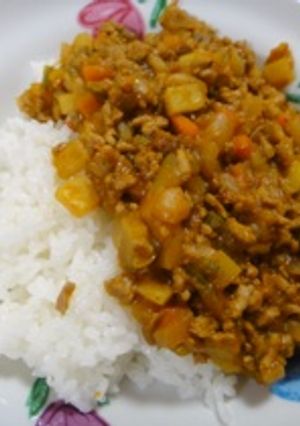 子供も大好き!ドライカレー♪-レシピのメイン写真