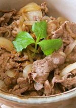 小腹に牛丼☆-レシピのメイン写真