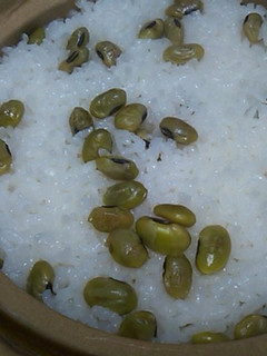 土鍋de豆ご飯-レシピのメイン写真