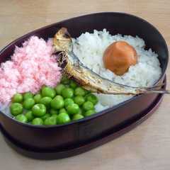 さつきのお弁当-レシピのメイン写真