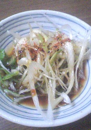 ネギだけ!?簡単おつまみ♪-レシピのメイン写真