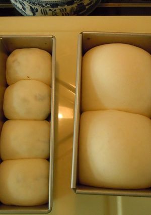 山型食パンのアレンジ（ミニレーズンパン）-レシピのメイン写真