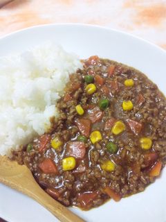 簡単・特急♪ひき肉カレー◆◇◆-レシピのメイン写真