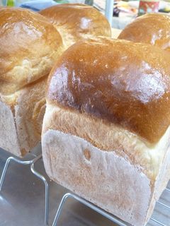 はちみつ大好き♡ミルク食パン♬-レシピのメイン写真