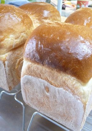 はちみつ大好き♡ミルク食パン♬-レシピのメイン写真