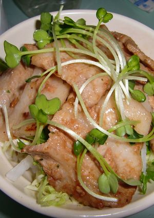 野菜たっぷりの豚丼-レシピのメイン写真