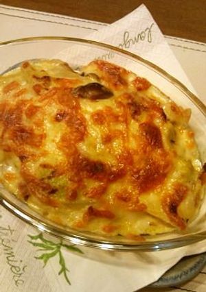 白菜のグラタン-レシピのメイン写真
