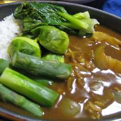 รูปของ 春野菜カレー