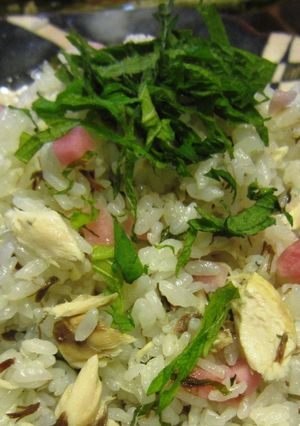 塩サバの炊き込みご飯-レシピのメイン写真