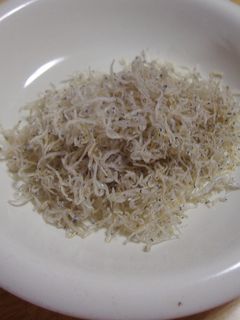 しらす干しの保存-レシピのメイン写真