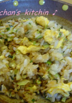 残った餃子のあんで♪簡単♪チャーハン-レシピのメイン写真