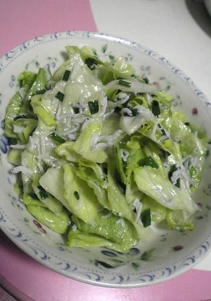 レタスサラダ♪-レシピのメイン写真