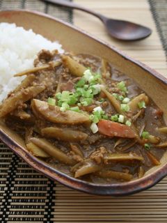 煮込み要らず!和風きんぴらカレー-レシピのメイン写真