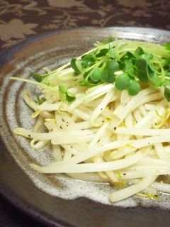 もやしの中華炒め★うま早!-レシピのメイン写真