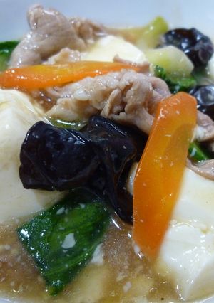 ヘルシー♪豆腐のオイスターソース煮-レシピのメイン写真