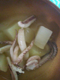 イカと大根の煮物-レシピのメイン写真
