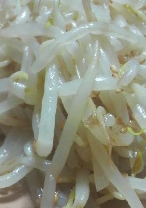 もやしの昆布茶ナムル-レシピのメイン写真