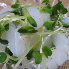 รูปของ イカとカイワレの中華前菜
