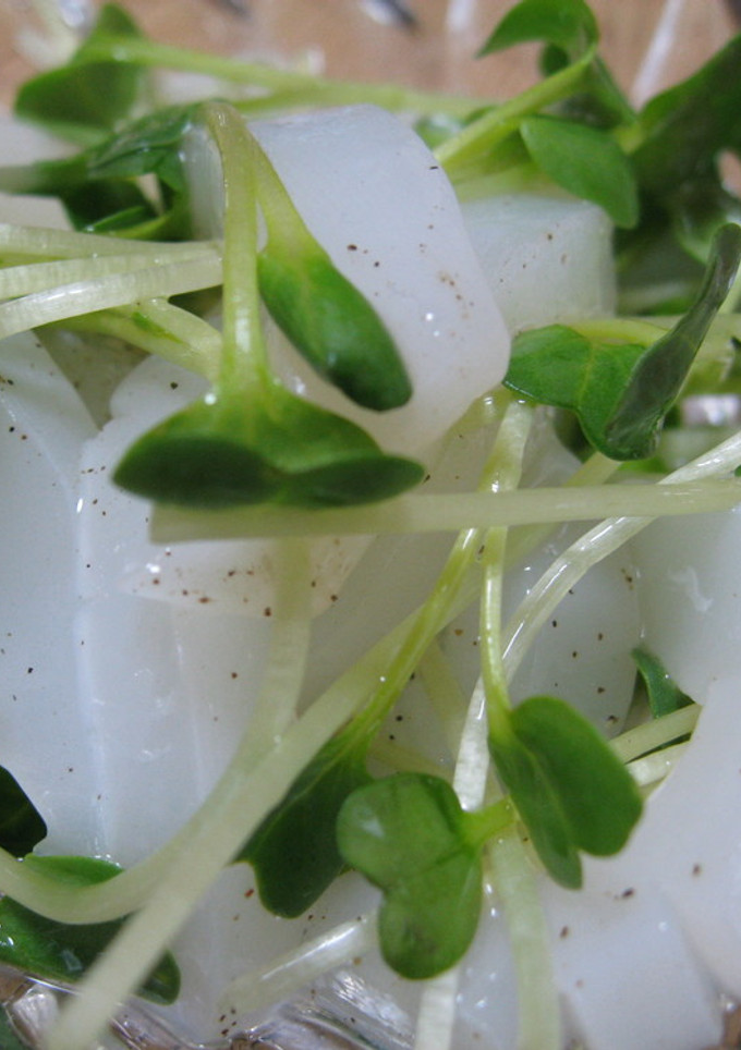 イカとカイワレの中華前菜-レシピのメイン写真