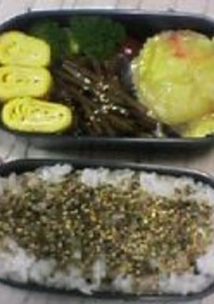 初☆お弁当-レシピのメイン写真