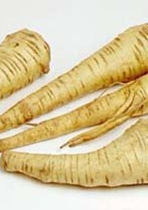 Parsnip　soup（パースニップ　スープ）-レシピのメイン写真