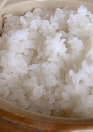 ３０分で完成☆1人用土鍋で簡単ご飯-レシピのメイン写真