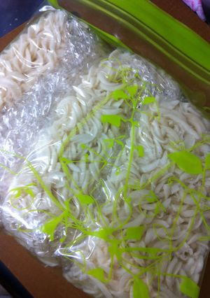 保存食用冷凍パスタ-レシピのメイン写真