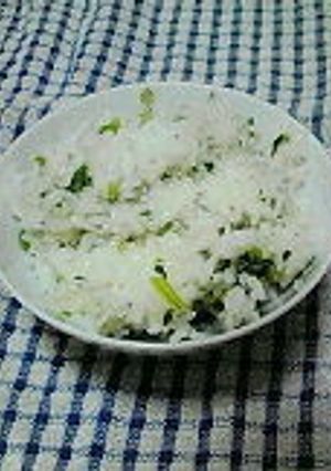菜飯を食べよう②-レシピのメイン写真
