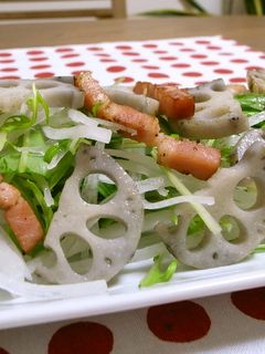 レンコンと水菜の大根サラダ-レシピのメイン写真