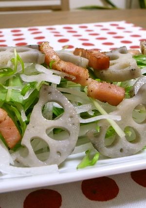 レンコンと水菜の大根サラダ-レシピのメイン写真