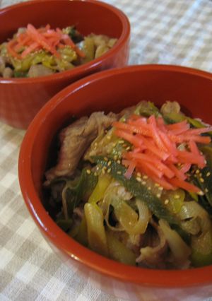 ねぎと豚だけ、豚丼-レシピのメイン写真