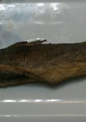かんたん寒海（道産子の寒干し魚）-レシピのメイン写真