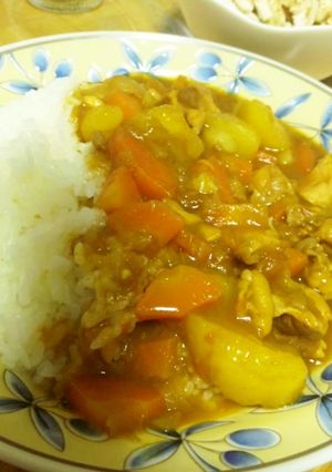 授乳中でもＯＫ！ヘルシーなカレーライス♪-レシピのメイン写真