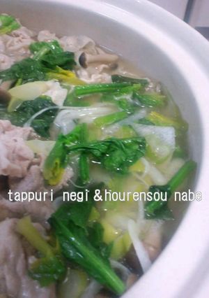 たっぷりネギとほうれん草のお鍋-レシピのメイン写真