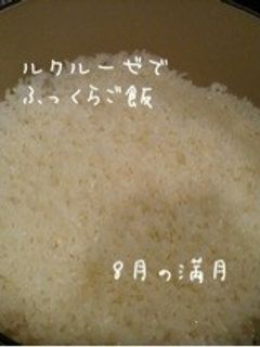 ルクルーゼでふっくらご飯-レシピのメイン写真