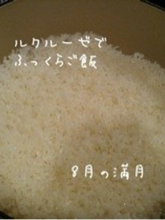 ルクルーゼでふっくらご飯-レシピのメイン写真