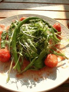 ★スプラウト&水菜のサラダ~♪イチゴドレッシング★-レシピのメイン写真