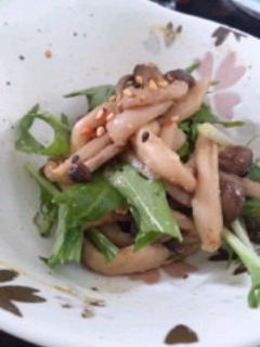水菜とキノコの和え物-レシピのメイン写真